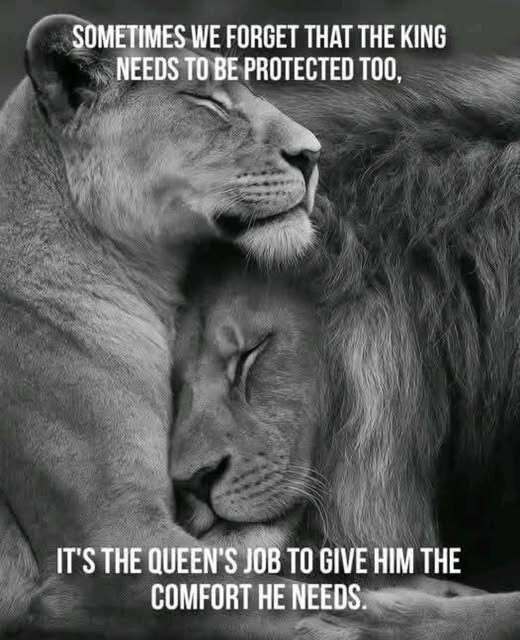 king.jpg.51344f41b879ce287e3b4cd25630ae50.jpg