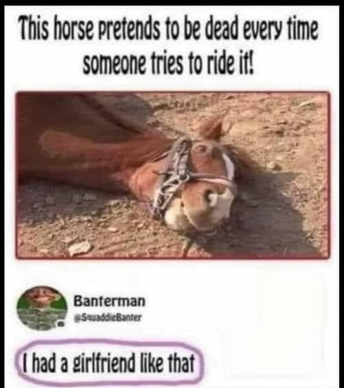 558501447_122145522596715705_7826874793235047502_n.jpg.a795c601ef46f05afafb0cf8786f9882.jpg