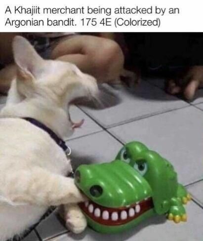 CatKajiitMerchantBeingAttackedByArgonian.jpg.b0aca2cb513fd0cb5c4100839b8bc4bf.jpg