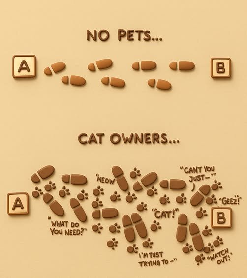CatLifeWithACat.jpg.768aa6b78175312752010b58ed1ae1fb.jpg
