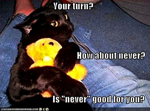 CatMYTurnAlways.jpg.27751ad7d1f82b96850d55eb4801f77e.jpg