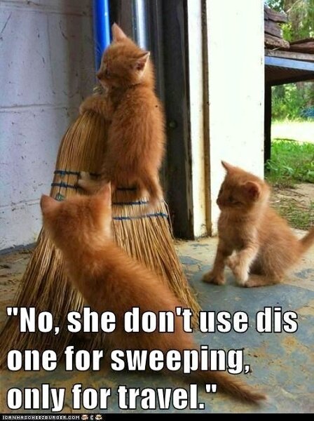 HaloweenCatBroomForTravel.jpg.999b77881f02aca4fddd1a49d94447e5.jpg