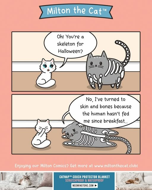 HaloweenCatSkeleton.jpg.9a9000f6df74c5c89d5ad452d4463d23.jpg