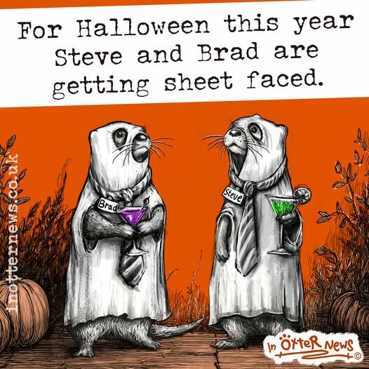 HaloweenSteveSheetFaced.jpg.9227016f4d23758d0e7eb684953322b2.jpg