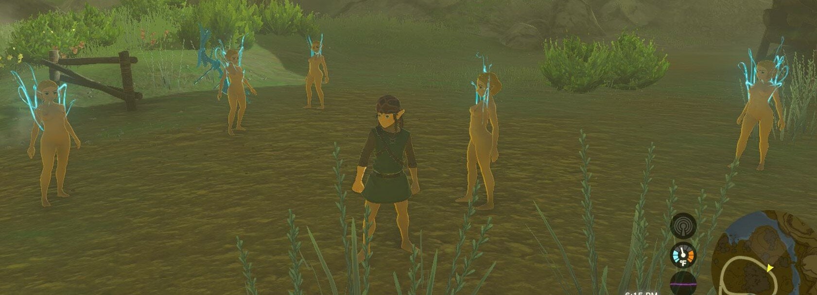 Zelda5.JPG.3c41e92e57cc7f656c9be121e7cdda7c.JPG