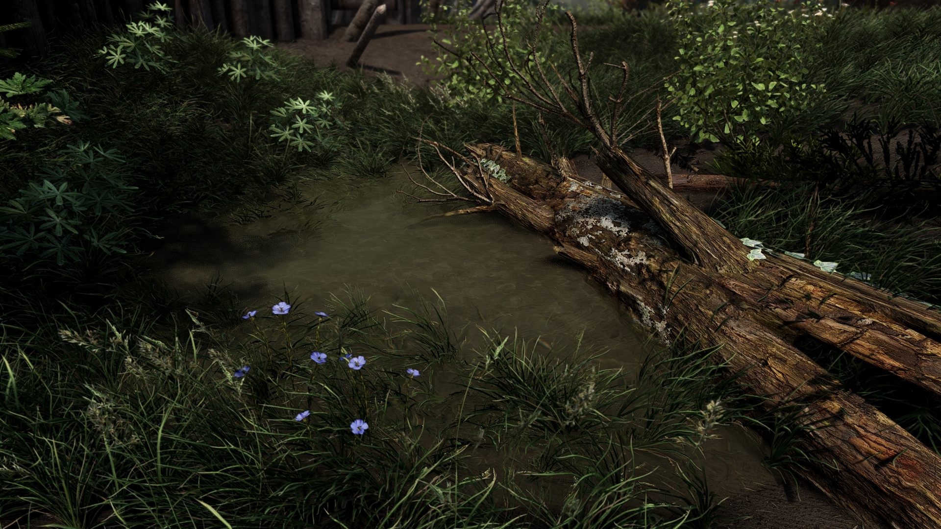 enb2025_10_27_16_37_29.png.6d9efe963caacd07534ffe11281a5506.png