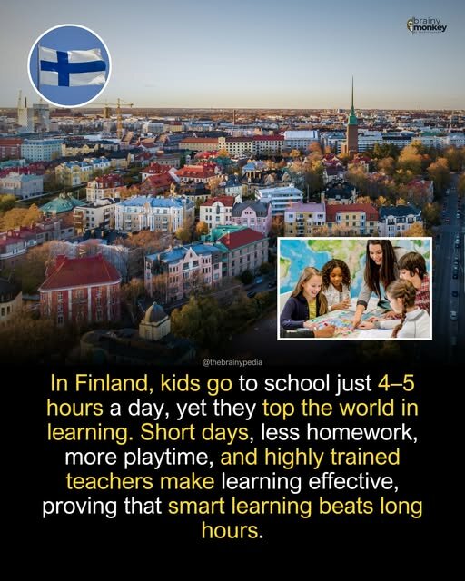 finska.jpg.455fb763903c8b41d9a47aac37b5ec06.jpg