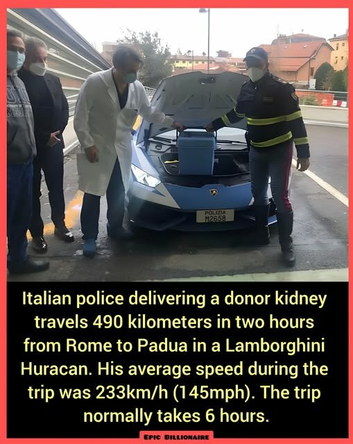 kidney.jpg.4fad251221aa169500a30a06bba65796.jpg