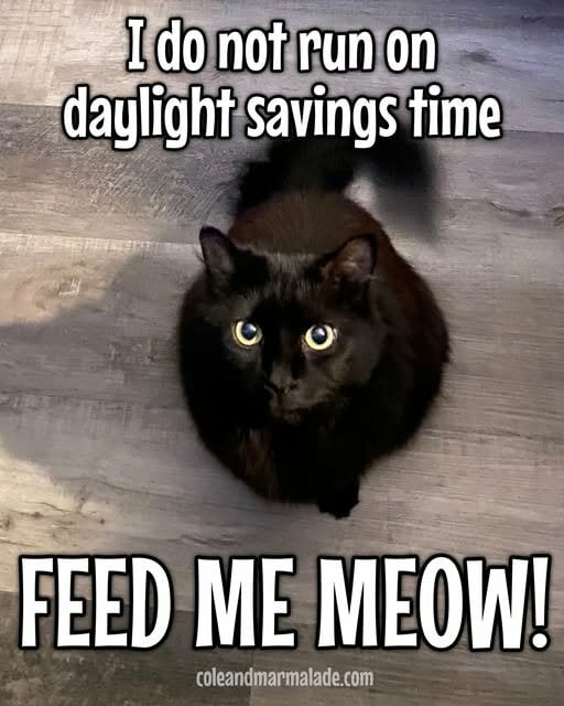 CatDaylightSavingsTime.jpg.54fa7df1e00727ed5a943849a0d3b5bc.jpg