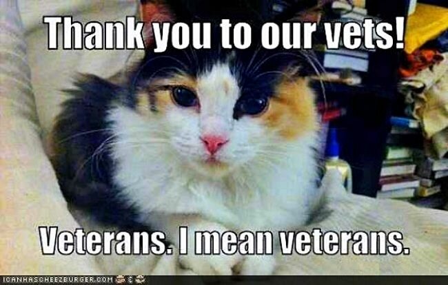 CatVets.jpg.3646715aead705afaefaad522ae1ff58.jpg