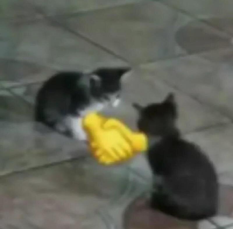 image.jpeg.8625d7afe26261768290c917b5b0dd22.jpeg