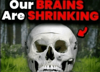 image.png.74b1b6dcd86c3c8e45e69bdc8e007dc2.png