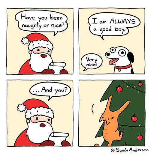 ChristmasCatBadBoy.jpg.b5ab7f74768c76f144980aad5974cee0.jpg