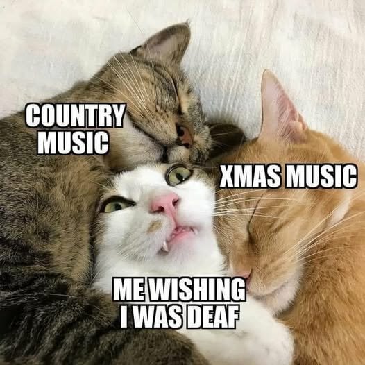 ChristmasCatMusic.jpg.e983b50c12946cb0ac7a50cee6598e3c.jpg