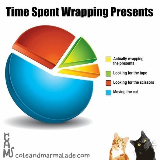 ChristmasCatPresentWrapping.jpg.1904b4dee1e21ccbc8e1364401e999bb.jpg