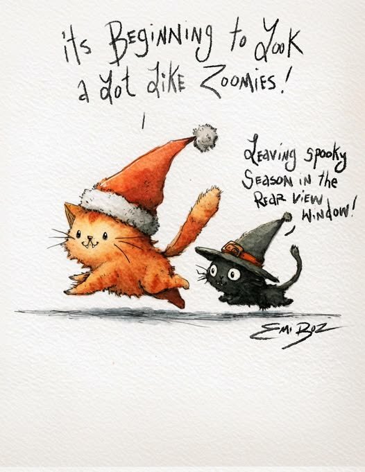 ChristmasCatZoomies.jpg.869568b19b5bcc6546f575f13c8de2f7.jpg