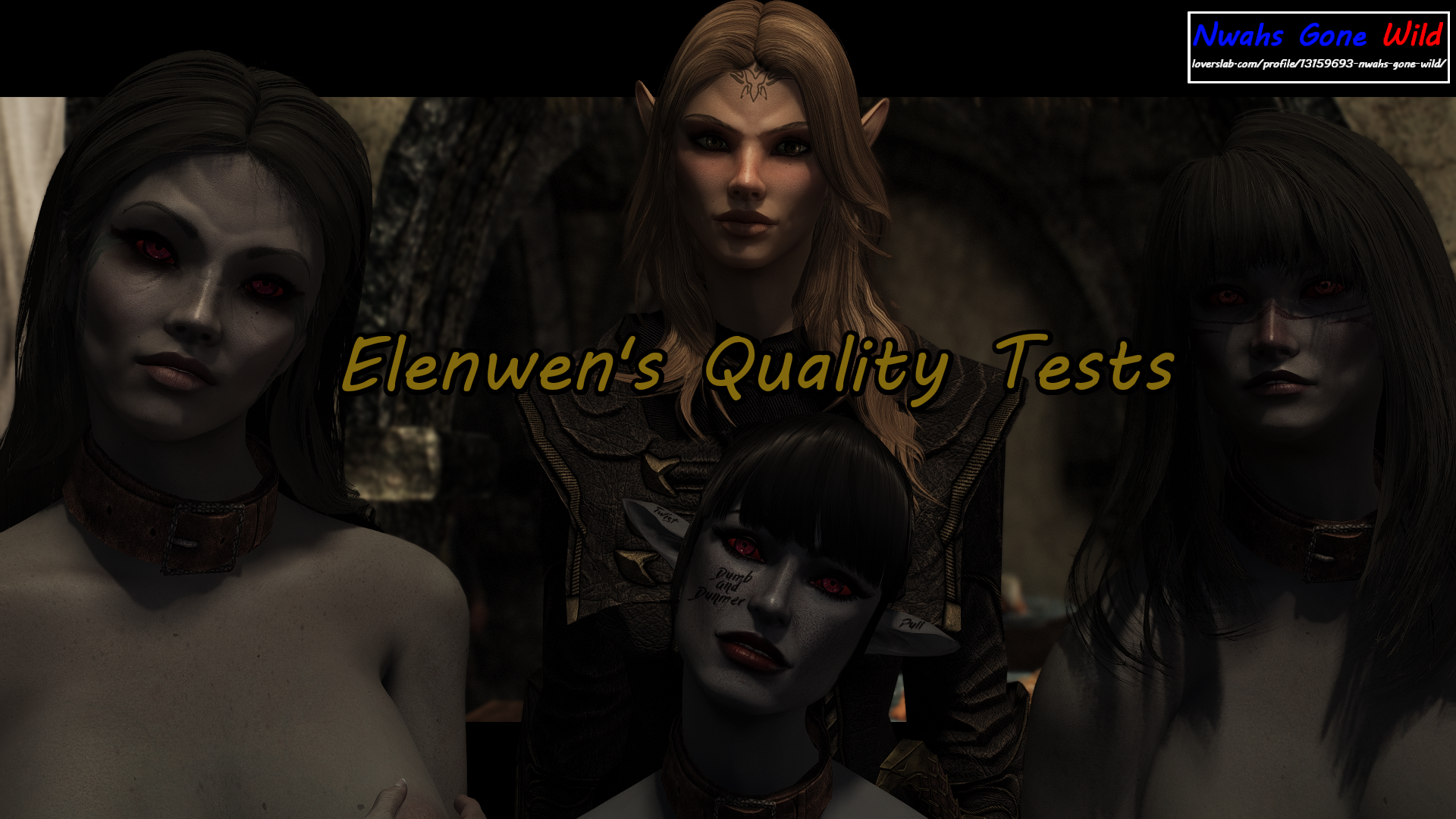 Elenwens_Quality_Tests_Banner.png.1ce83ffc9a58fc5519371eaf0e6c3672.png