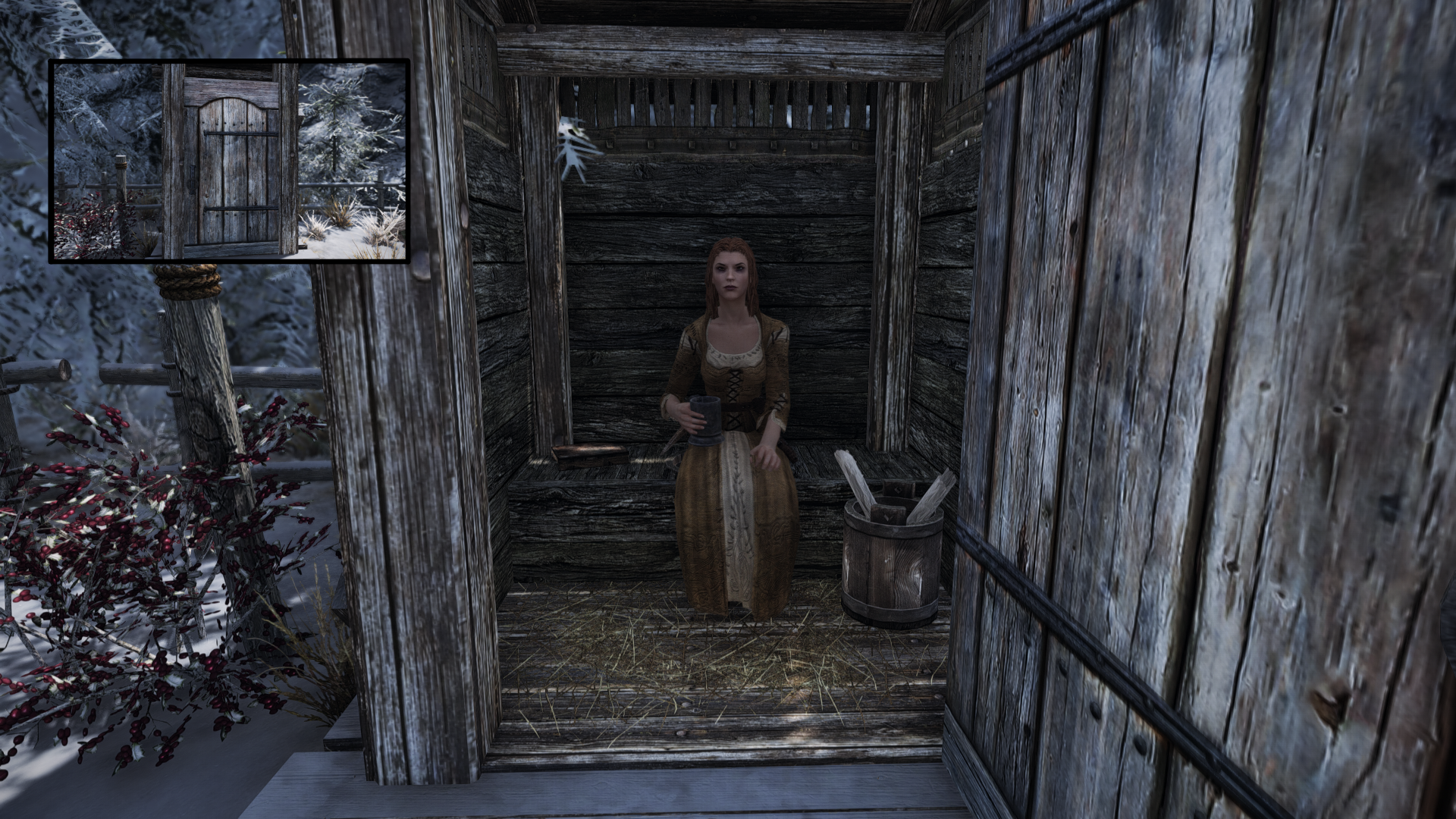 Random_Outhouse_Discovery.png.d20f39d59dbb4cd189fd7fb6ee947931.png