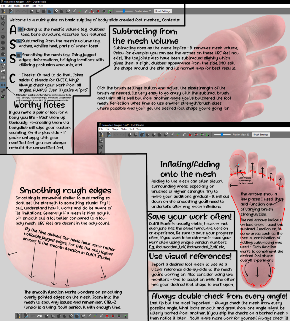 ASS_Foot_Mesh_Quick_Guide.thumb.png.ab60e00e8f36dfcbd878bb812b5a2c06.png
