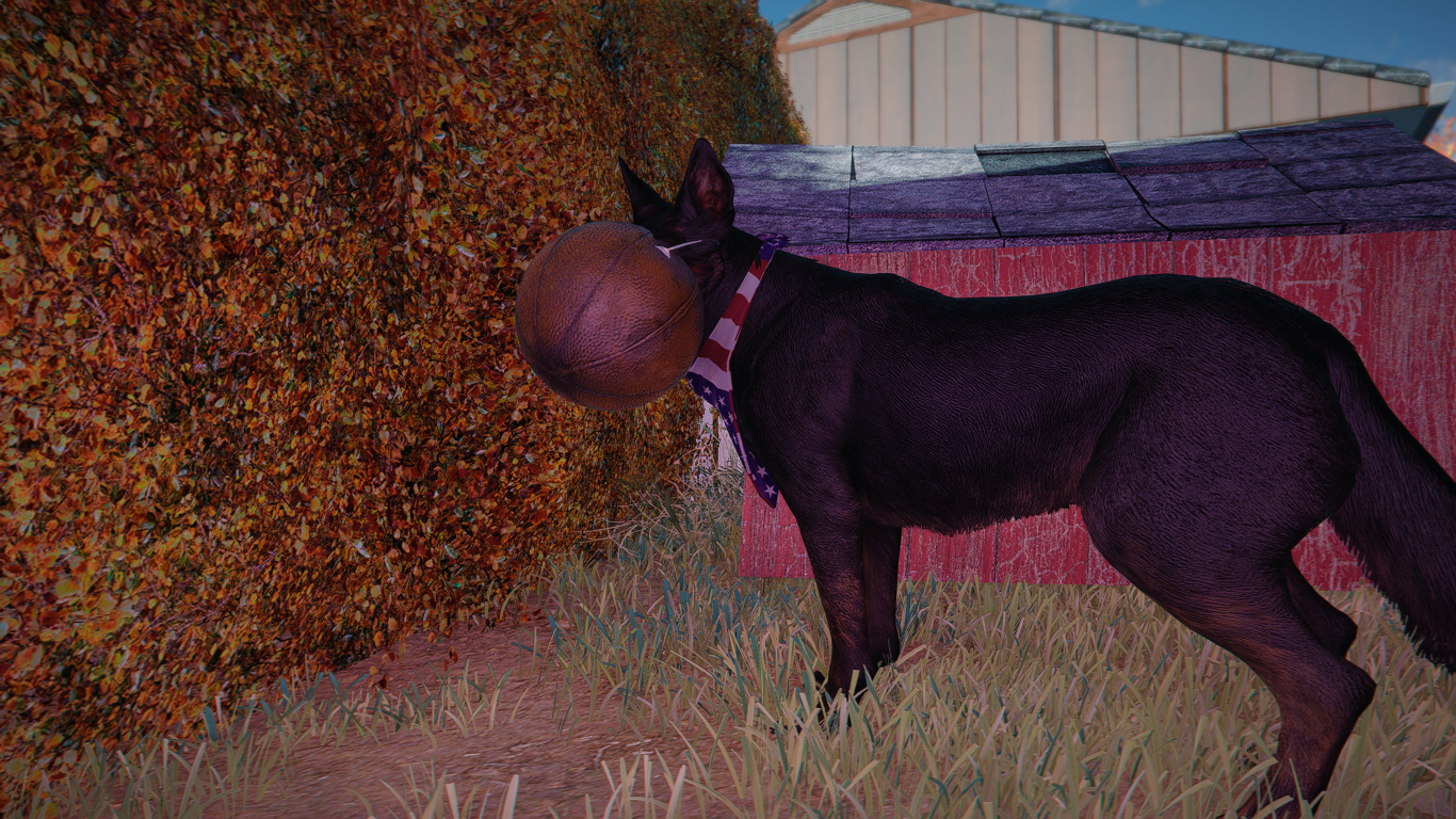 Photo737.png