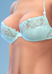 Shirt_04_Bra13.png.839633c7fce0bd950b16a6e7baea4052.png