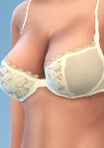 Shirt_05_Bra22.png.3c8cfd6841d728fc73334baba9fdb63e.png