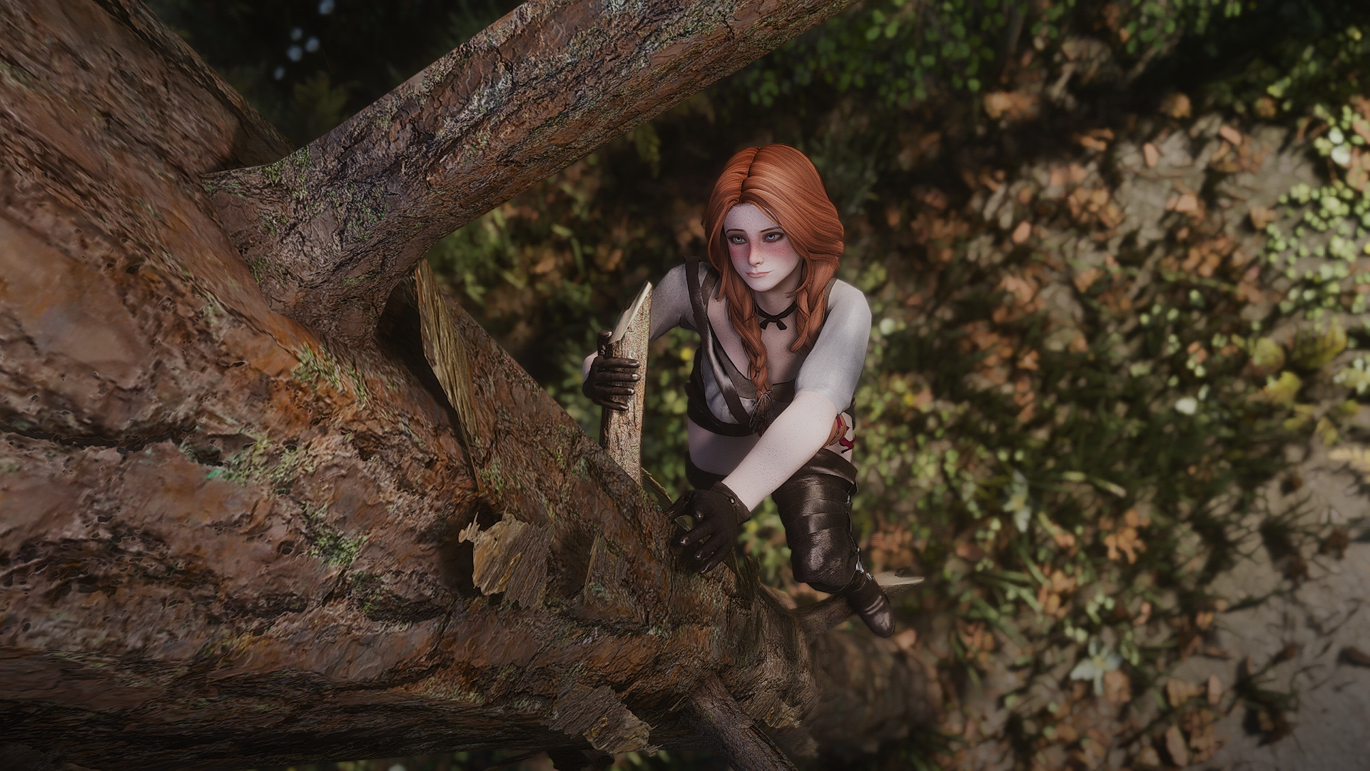 SkyrimSE2026-01-2815-10-40.png.17d7b36820b3da6c07147d7e960d354a.png