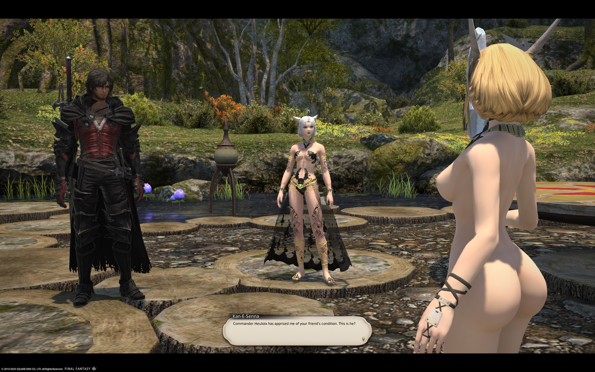 ffxiv_06042024_020045_922.png