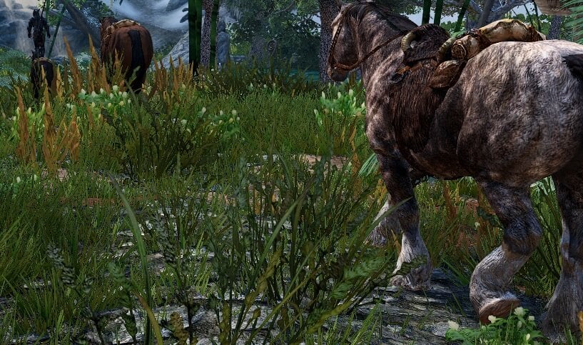 horses.jpg.4fe0b77e53c4a859693bc67655e0fc3f.jpg