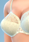 shirt_11_bra_05yel.png.fe40eee57334811bea1b87da1545fda2.png