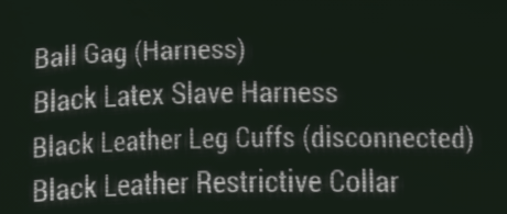 2026-02-2306_43_57-Fallout4.png.4b230b3efabf3e2b9a173729d89ad279.png