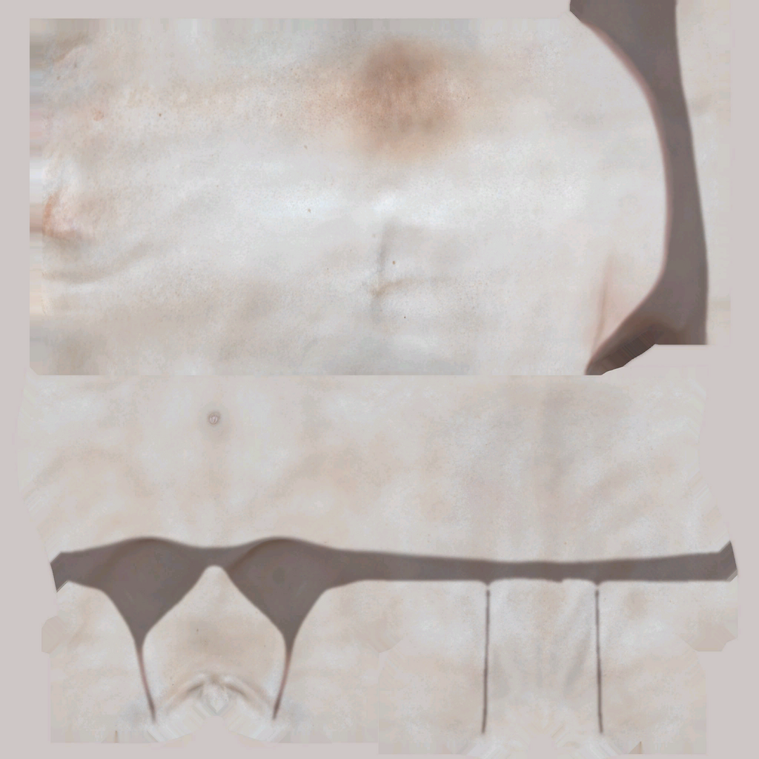 Compressed_2D8A2CA8_TYPELESS.png