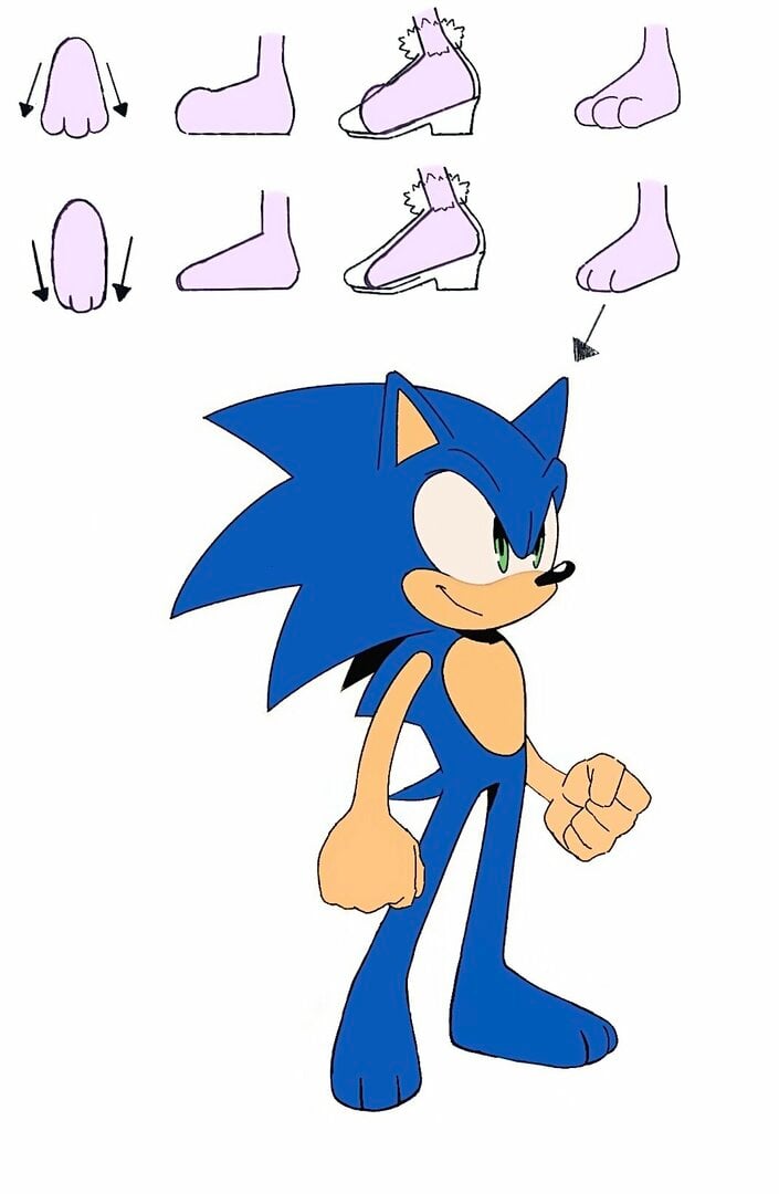 Paws.jpg