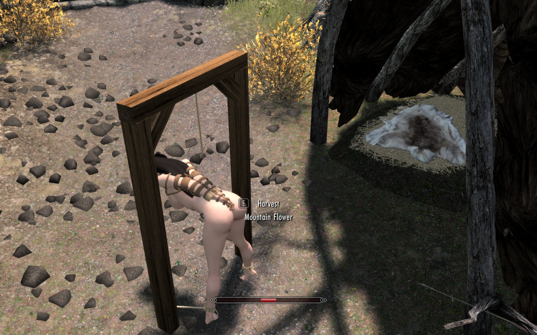 ScreenShot23.png
