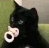 catcatcat.PNG.c8d45bc851986be99f13e57f1c09ca78.PNG