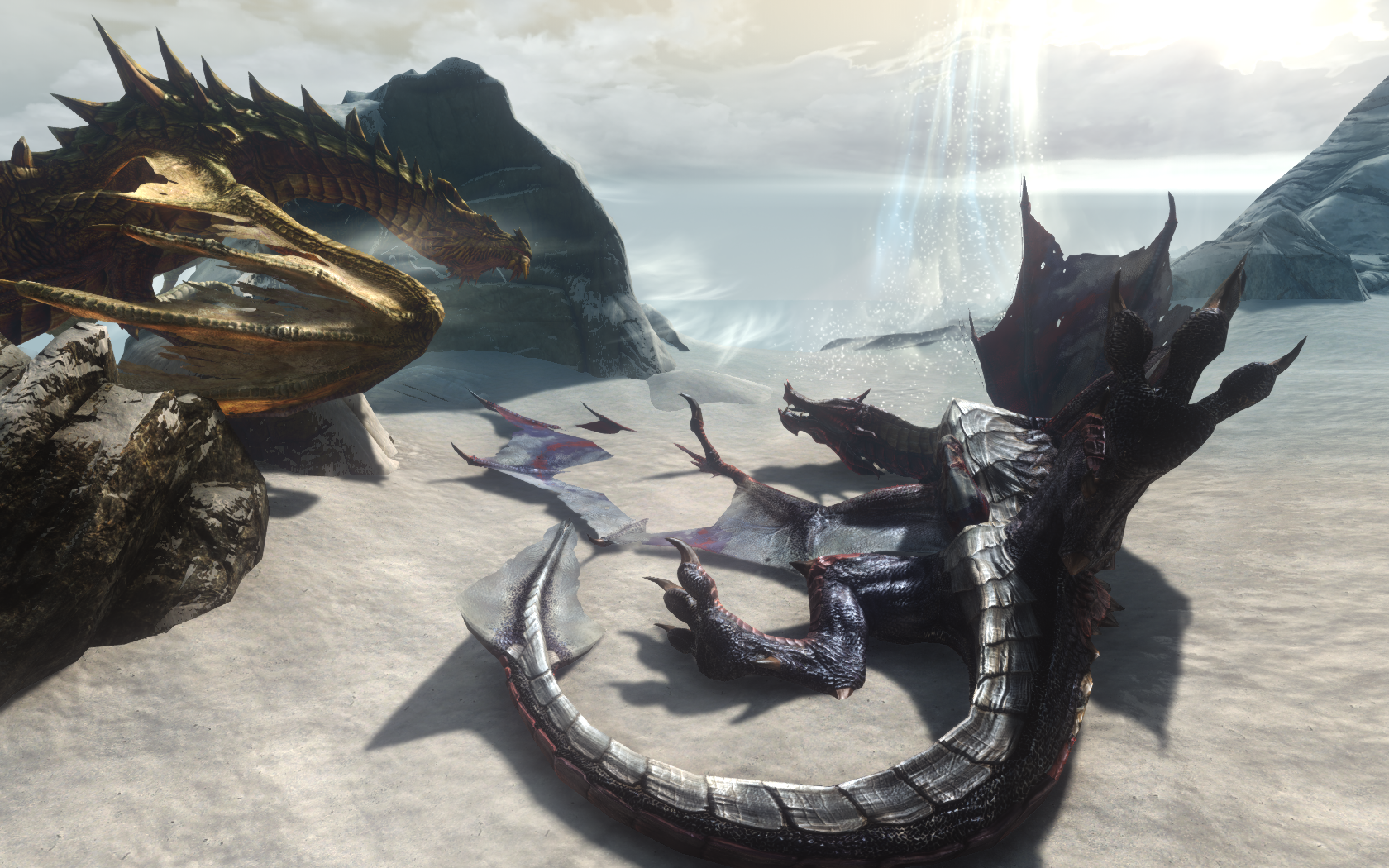 enb 2026_01_09 20_56_00_20.png