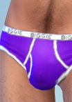 pants09_briefs01_ppl.png.1c1f7f008265feafdb8fa7d6638ab751.png