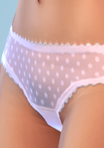 pantsbrief_06_Panty02P.png.e8f1c7b533b0e1133f838390c1ee3d2c.png