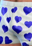 pantsfun_03_boxers02_blue.png.2d828c45e7dfd8e9686f40decfa1f841.png