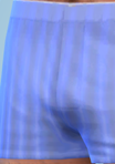 pantspattern_05_boxers03.png.1262e2835deb7fa447e0f1e0026ff376.png