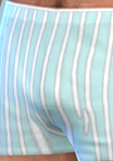 pantspattern_07_boxers03_blustripes01.png.091d22f6bdfc59444f5628b98ea0bd76.png