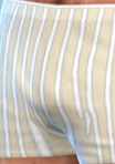 pantspattern_08_boxers03_brnstripes01.png.c18e9dda2d3b6583c7258f0b9b2abde9.png