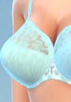 shirtfull07_bra_05blu.png.7971a46fc72d2d1dc85796cc94be5661.png