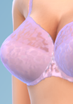 shirtfull08_bra_05pnk.png.d081bf64511bf80f720eb34057c28264.png
