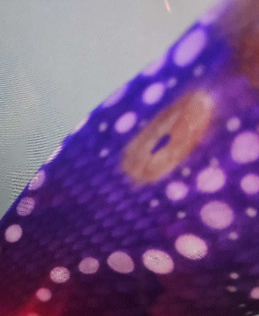 20260326_205801.jpg