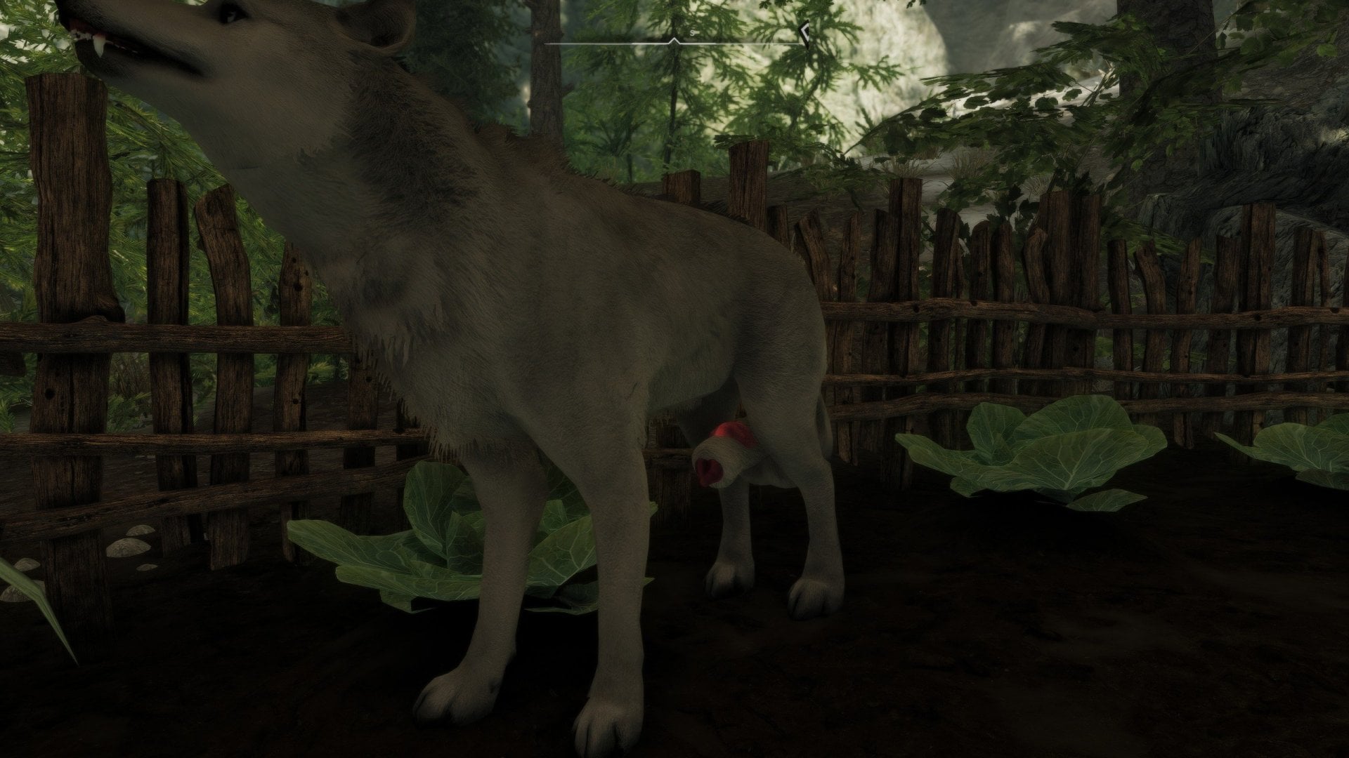 SkyrimSE2026-03-1906-25-39.thumb.jpg.dbf61852f8a6016c5f5359a6838b682f.jpg
