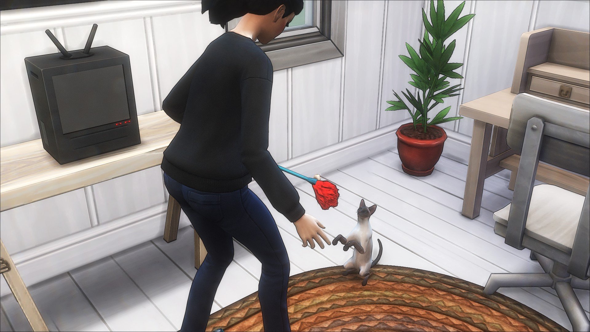 TS4_x642026-03-0921-29-37_481.jpg.6b9430da50291af2d30646c24d924d19.jpg