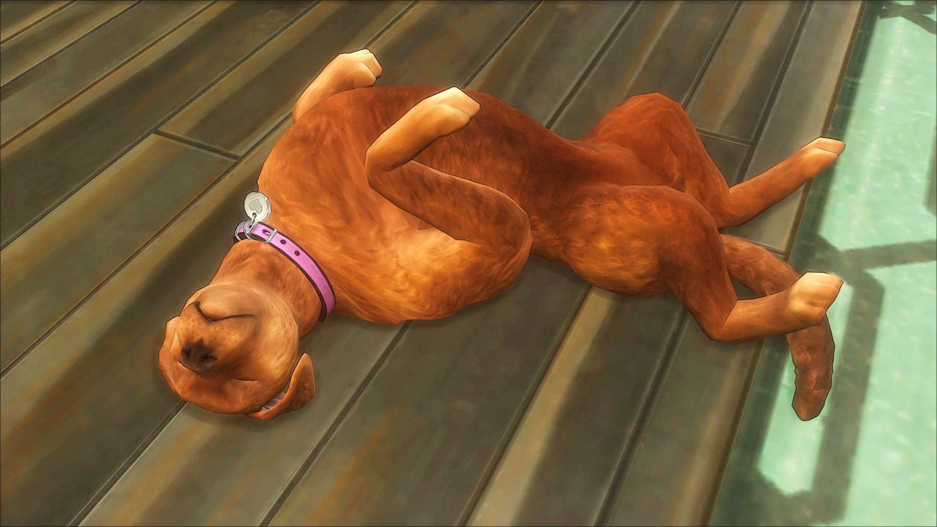 TS4_x642026-03-1015-41-26_047.jpg.f27d9bac5b470ff832629656f2af670a.jpg