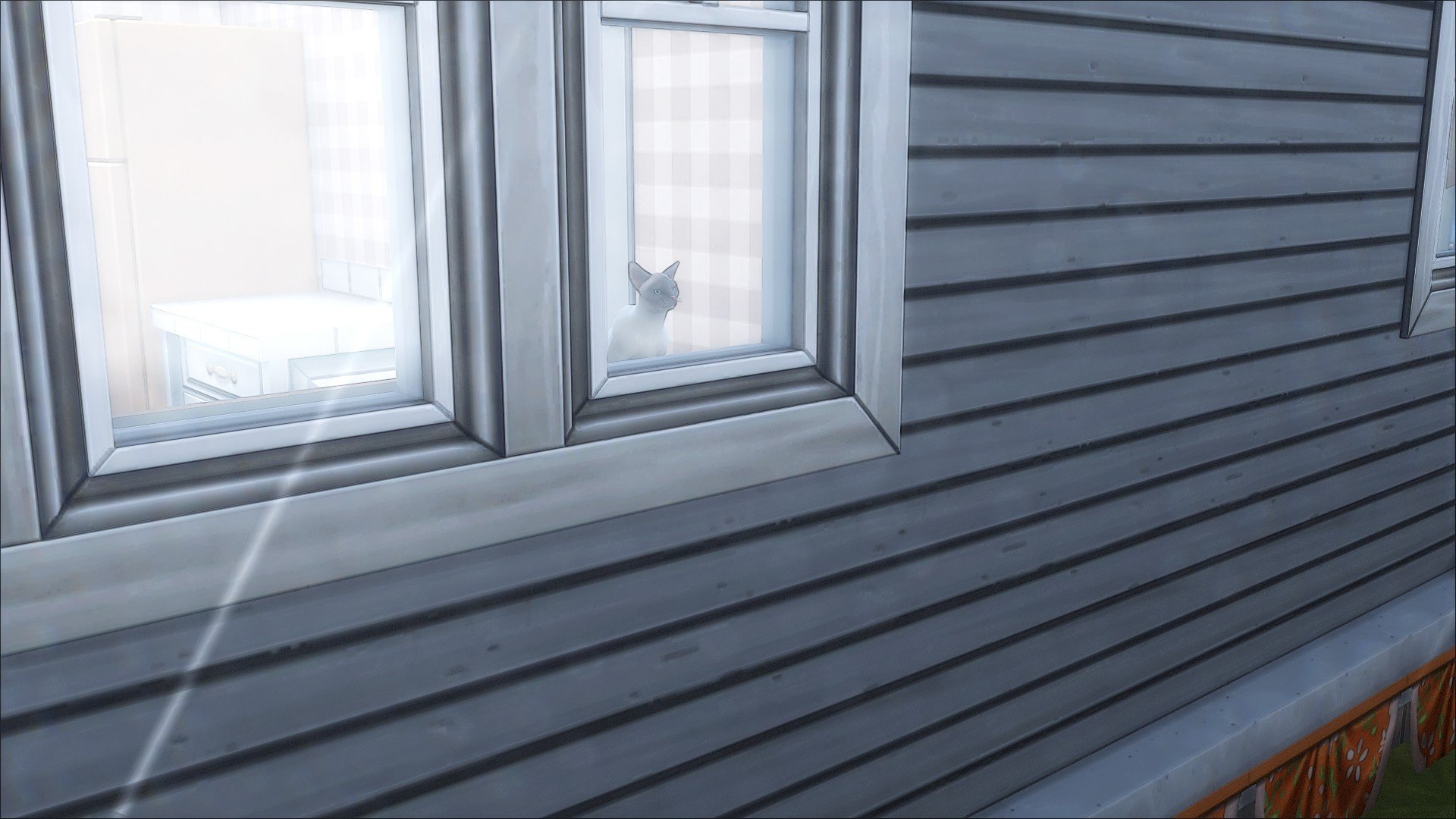 TS4_x642026-03-1020-34-51_766.jpg.ed560c32563a3c48587f021ea23badf2.jpg