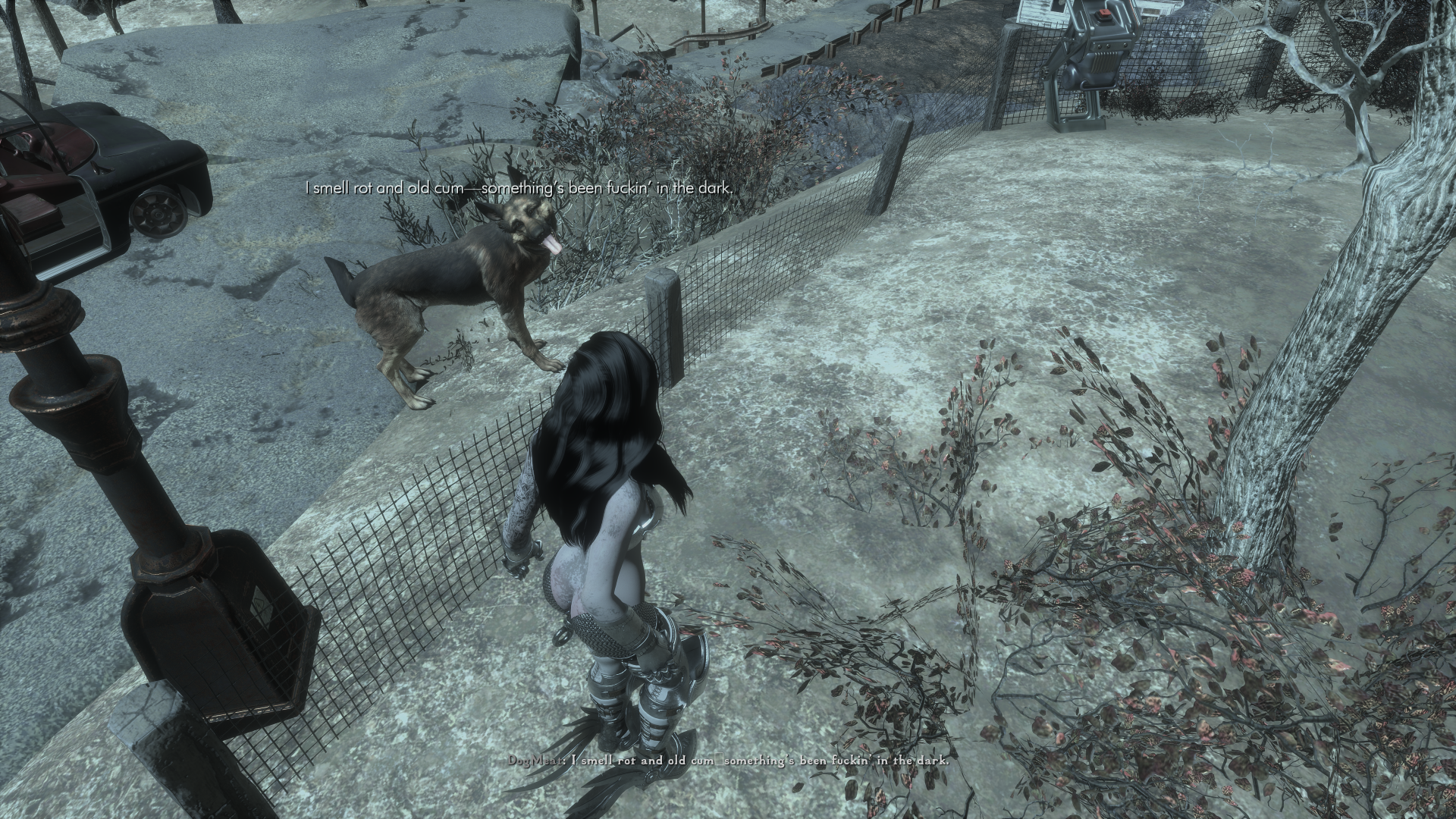 The Elder Scrolls V  Skyrim Special Edition Screenshot 2026.03.15 - 23.18.01.51.png